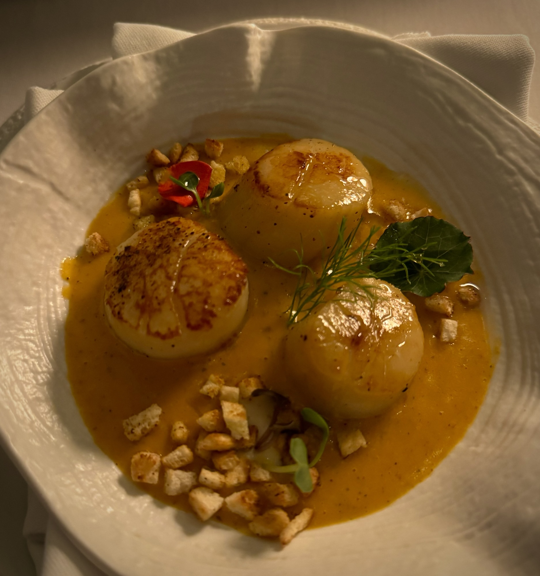 TOTÓ Abu Dhabi: Italian Glamour Worthy of Champions