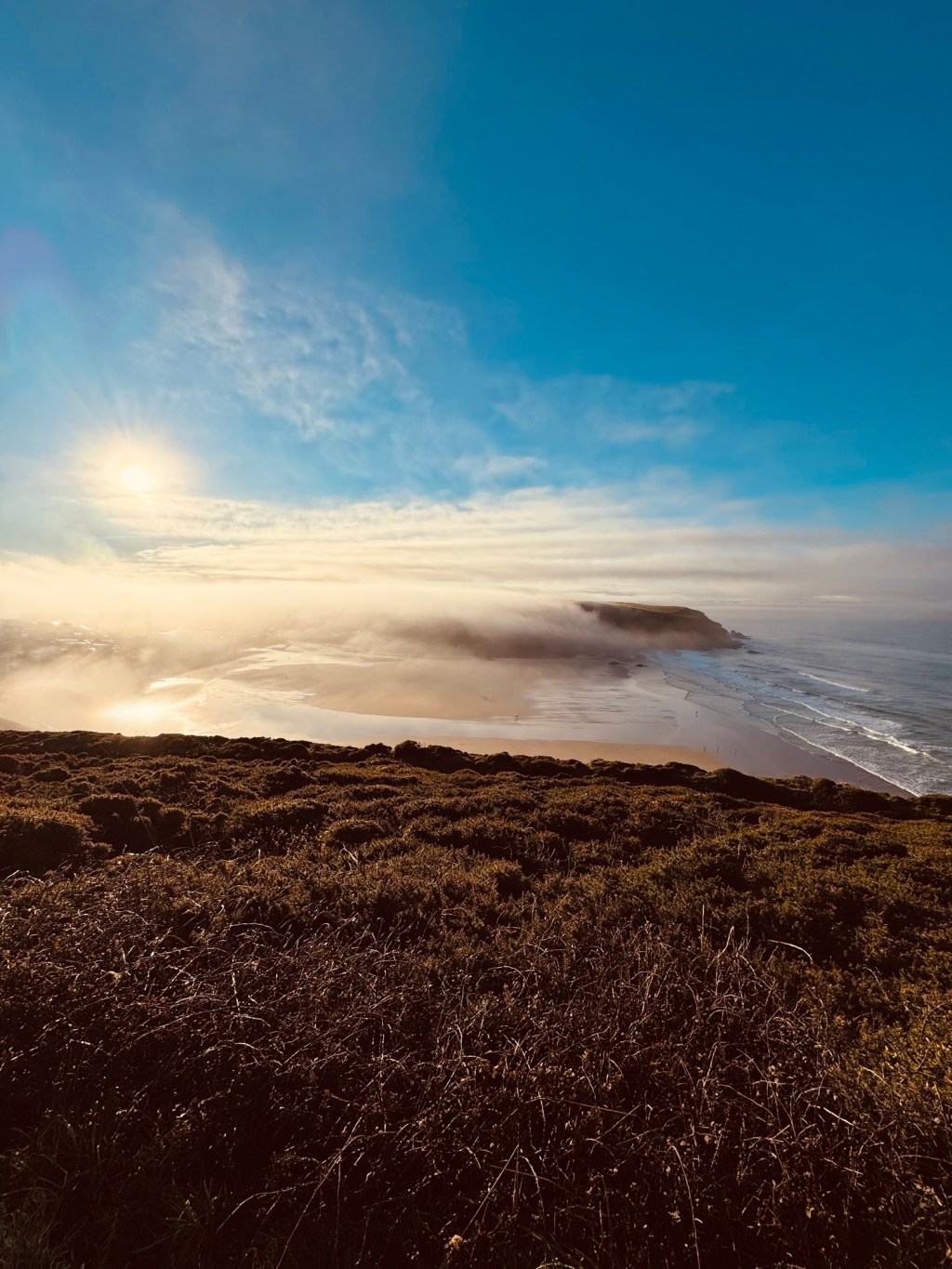 The Scarlet: Where Magic Never&nbsp;Fades