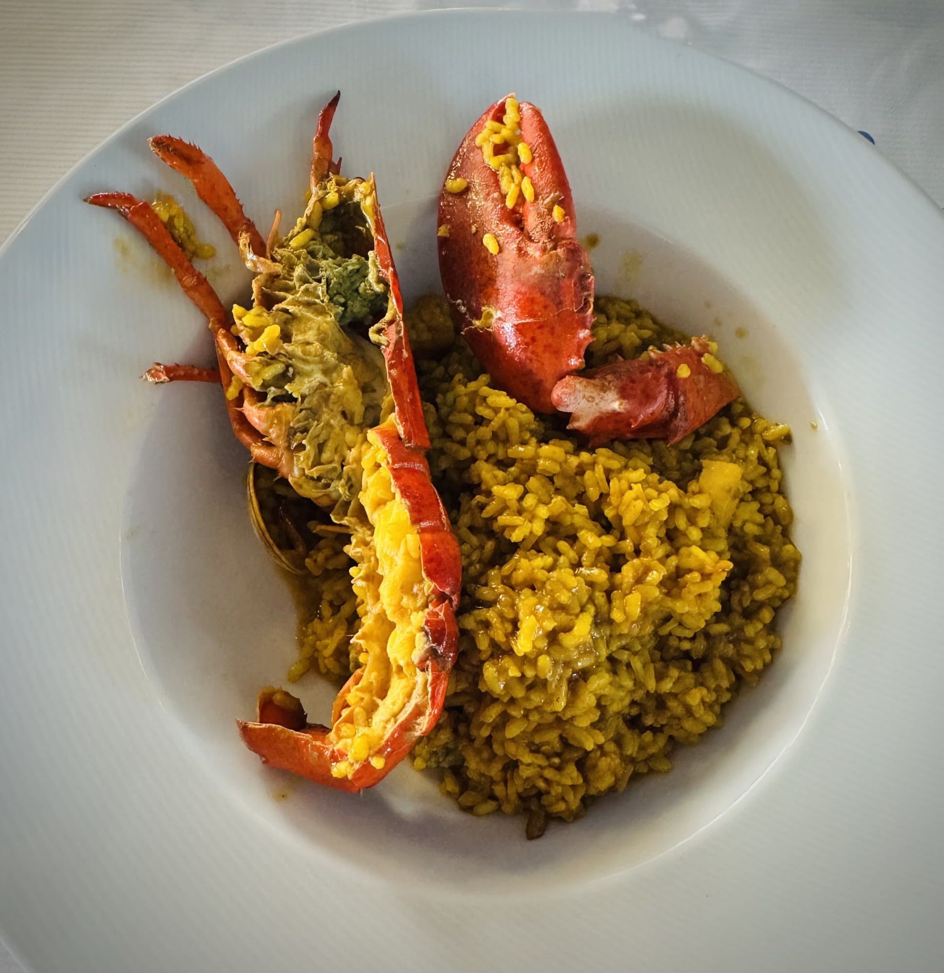 Nuevo Gerardo: The Lunch That Ruins All Others